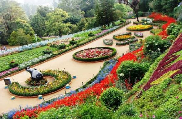 गुलाब के दीवानों के लिए एक उत्तम पर्यटन स्थल है - जाकिर हुसैन रोज़ गार्डन 