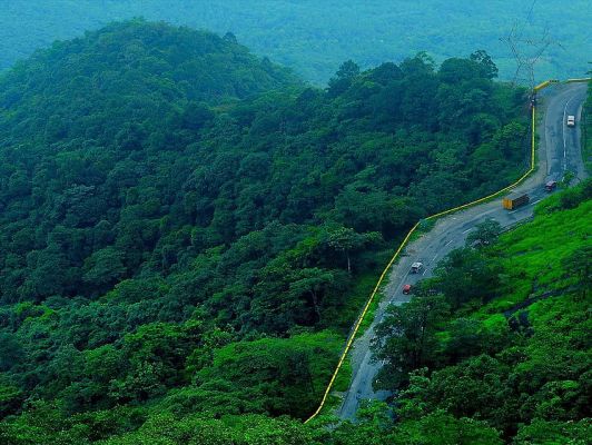   पर्यटकों के लिए स्वर्ग का अनुभव कराती है वायनाड