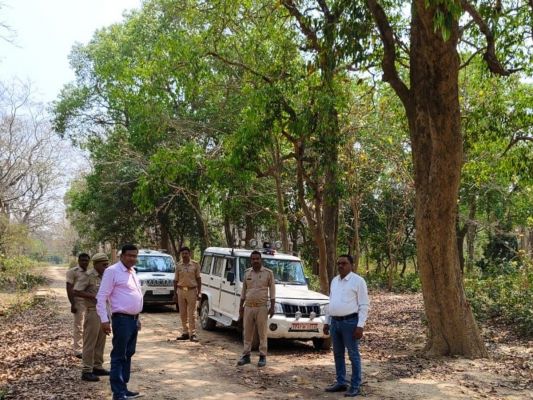  हरियाली की चादर में ढका छत्तीसगढ़ का बलरामपुर वनक्षेत्र