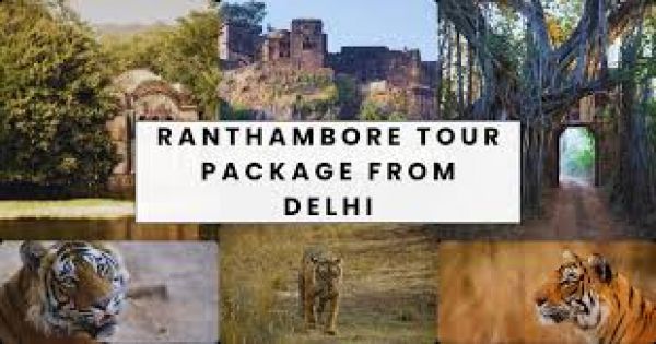 "दिल्ली से रणथंभौर: दूरी, यात्रा विकल्प और घूमने की खास जगहें"