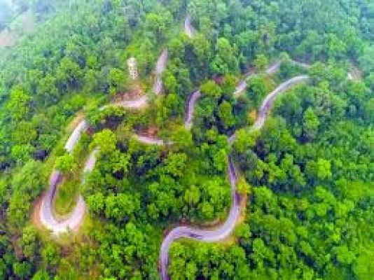 मैनपाट (अंबिकापुर): छत्तीसगढ़ का शिमला, जहाँ प्रकृति, शांति और रहस्य एक साथ मिलते हैं