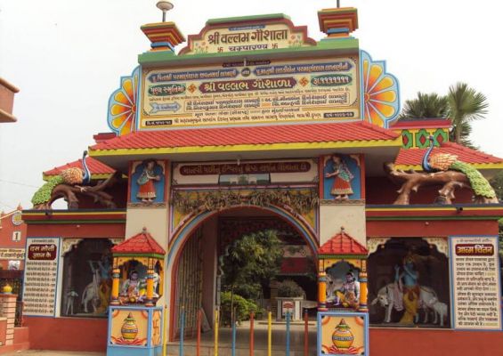 छत्तीसगढ़ का चंपारण क्यों प्रसिद्ध है?