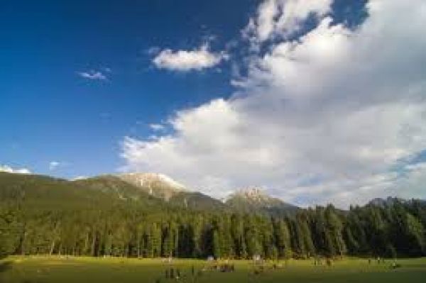 स्थानीय संस्कृति और लोगों का जीवन